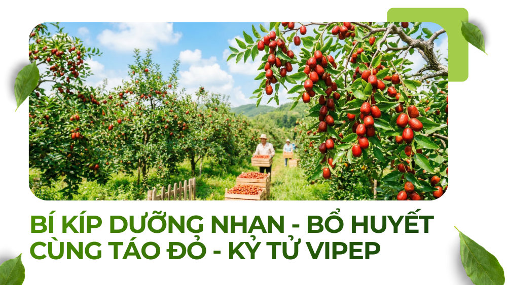 Thị Trường Xuất Khẩu Gia Vị Việt Nam Tiếp Tục Tăng Trưởng